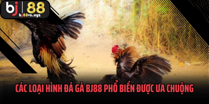 Các loại hình đá gà BJ88 phổ biến được ưa chuộng