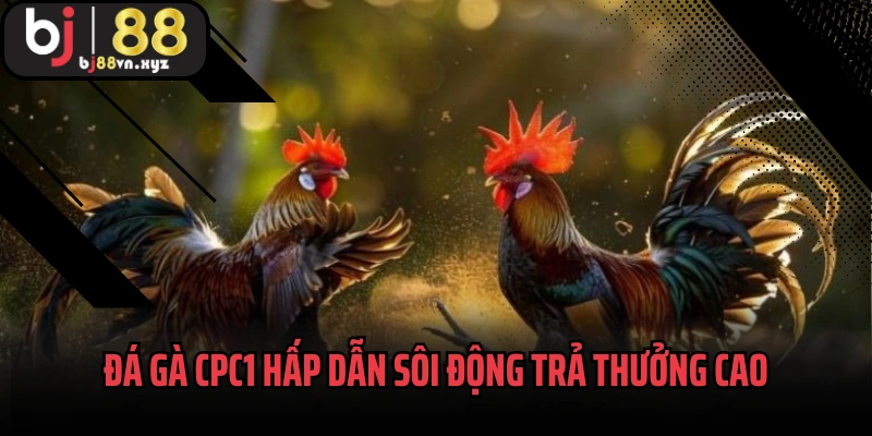 Đá gà CPC1 hấp dẫn sôi động trả thưởng cao