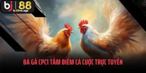 Đá Gà CPC1