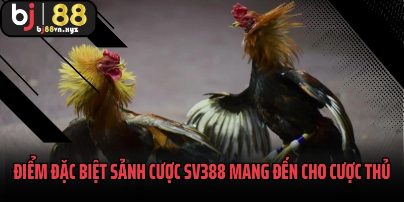 Điểm đặc biệt sảnh cược SV388 mang đến cho cược thủ