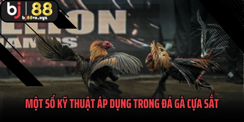 Một số kỹ thuật áp dụng trong đá gà cựa sắt