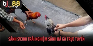 Sảnh SV388
