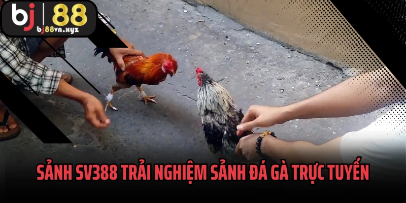 Sảnh SV388