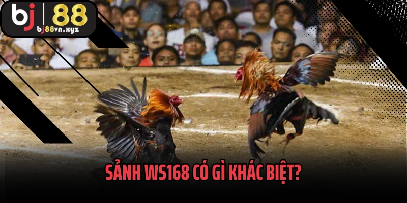 Sảnh WS168 có gì khác biệt?