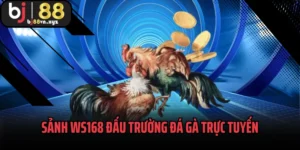Sảnh WS168
